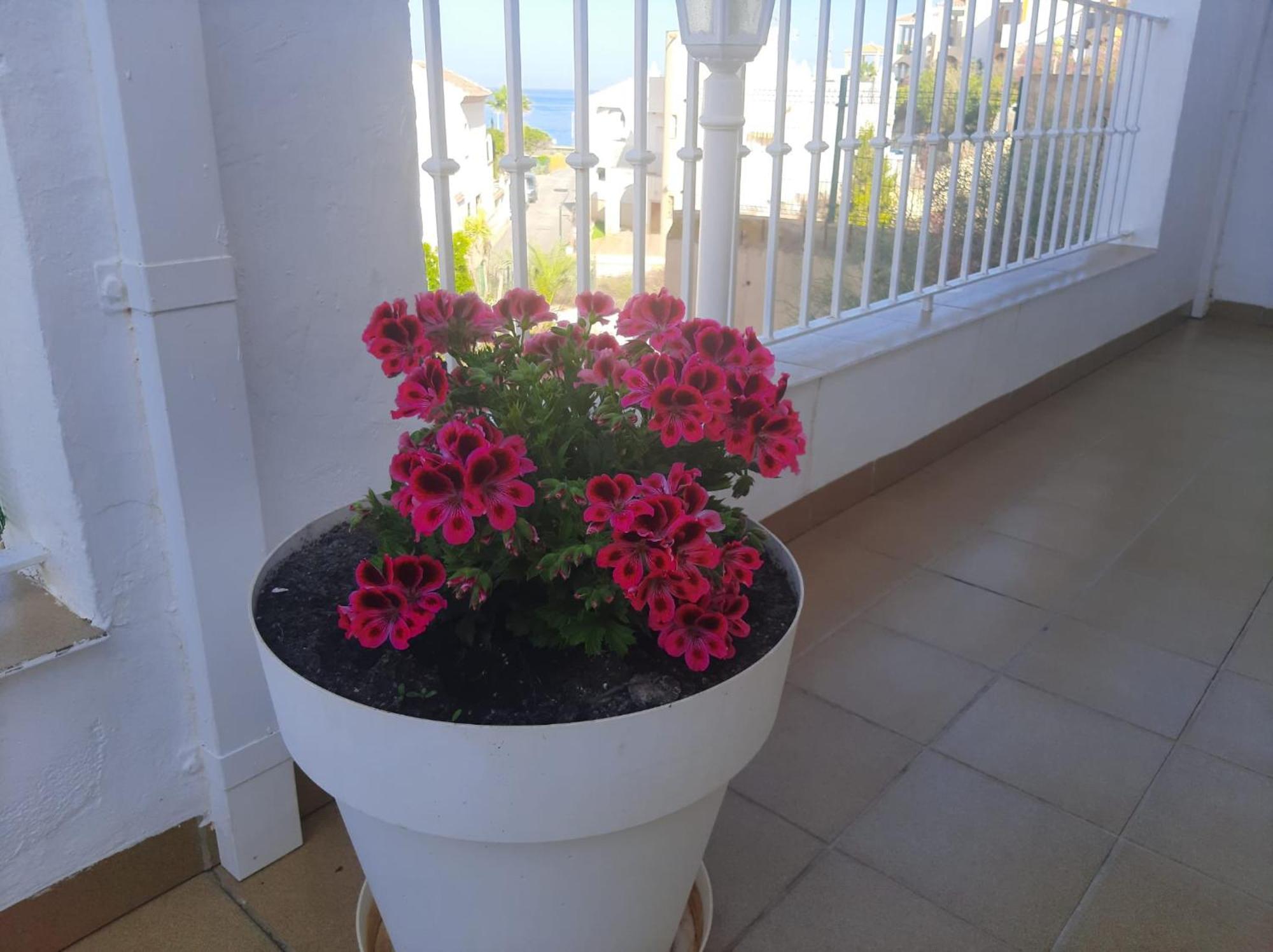 Las Gemelas De Terreros 1 San Juan de los Terreros Εξωτερικό φωτογραφία