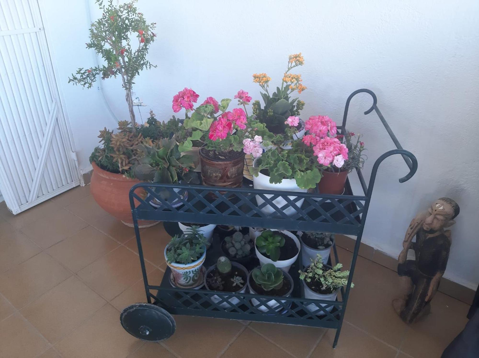 Las Gemelas De Terreros 1 San Juan de los Terreros Εξωτερικό φωτογραφία