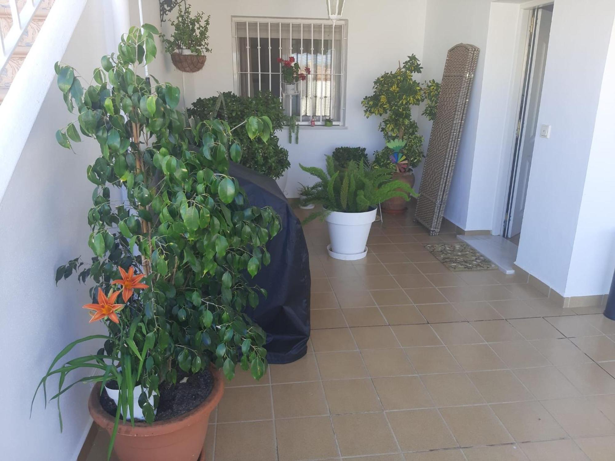 Las Gemelas De Terreros 1 San Juan de los Terreros Εξωτερικό φωτογραφία
